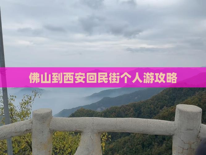 佛山到西安回民街个人游