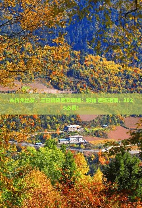 忻州去西安城墙三日游