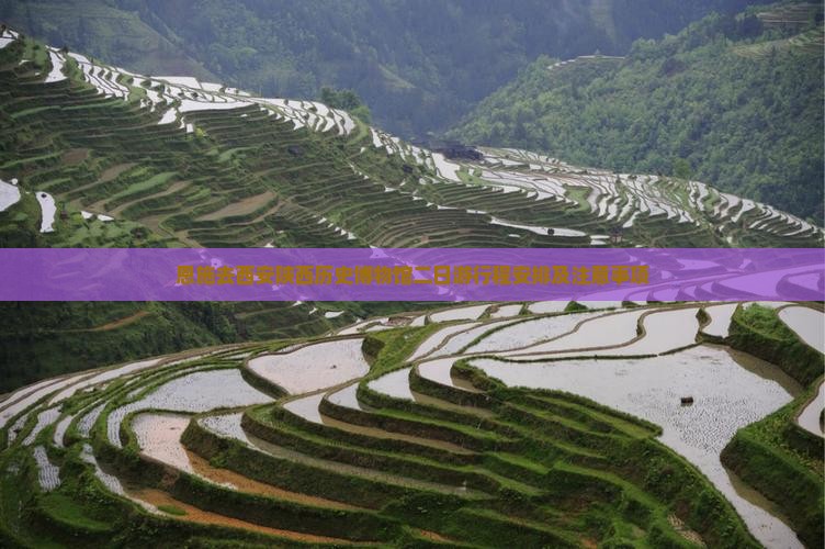 恩施去西安陕西历史博物馆二日游