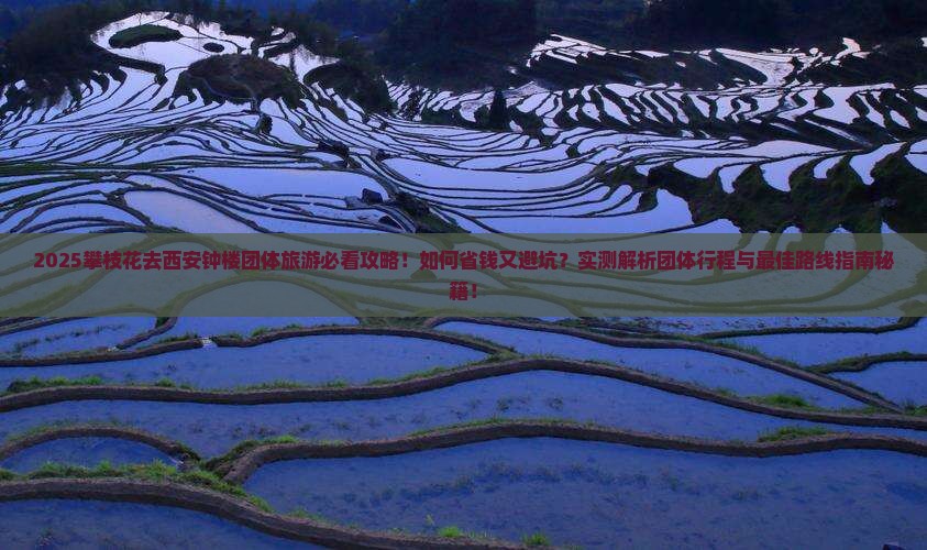 攀枝花去西安钟楼团体旅游