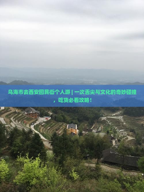 乌海市去西安回民街个人游 乌海市去西安回民街个人游