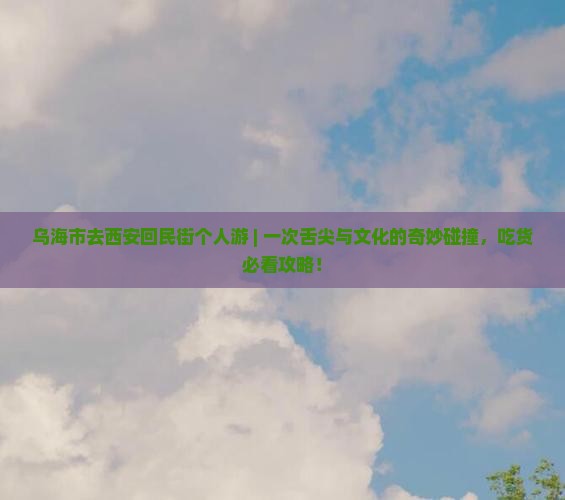 乌海市去西安回民街个人游 乌海市去西安回民街个人游