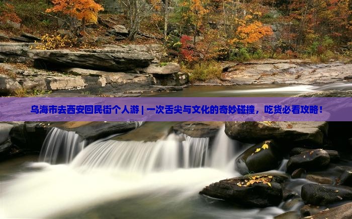 乌海市去西安回民街个人游 乌海市去西安回民街个人游