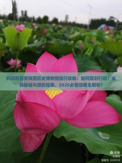 阿坝到西安陕西历史博物馆旅行社