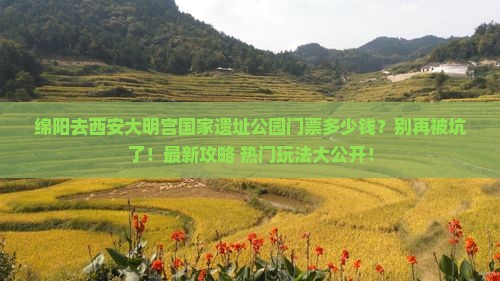 绵阳去西安大明宫国家遗址公园门票