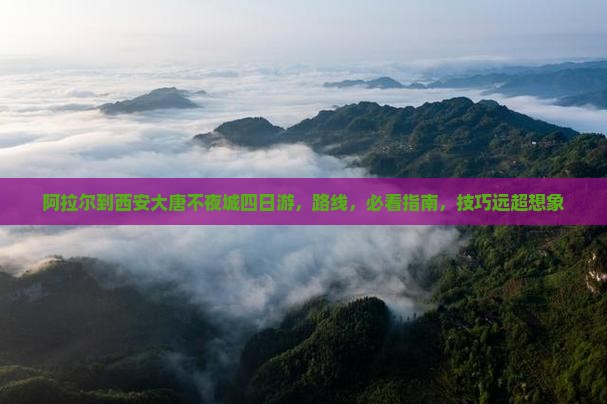 阿拉尔到西安大唐不夜城四日游