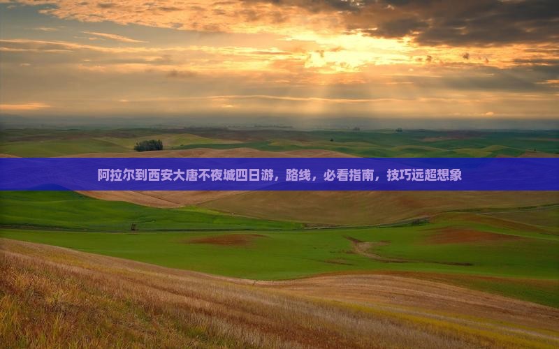 阿拉尔到西安大唐不夜城四日游
