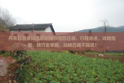 丹东到西安陕西历史博物馆四日游