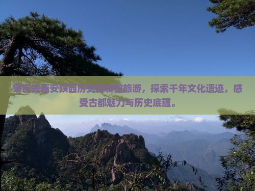 肇庆去西安陕西历史博物馆旅游