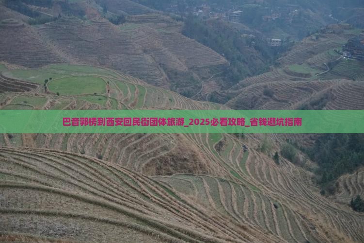 巴音郭楞到西安回民街团体旅游