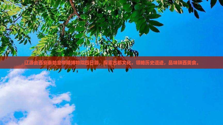 辽源去西安秦始皇帝陵博物院四日游