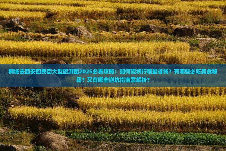 桐城去西安回民街大型旅游团