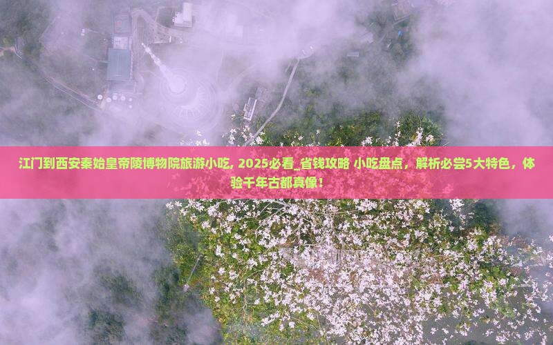江门到西安秦始皇帝陵博物院旅游小吃