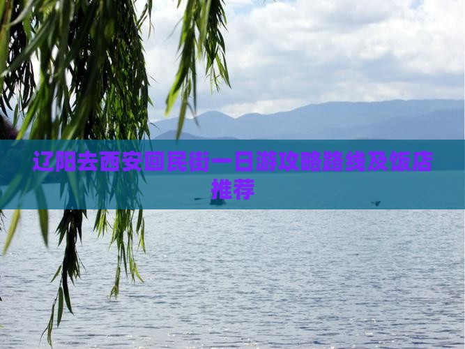 辽阳去西安回民街一日游