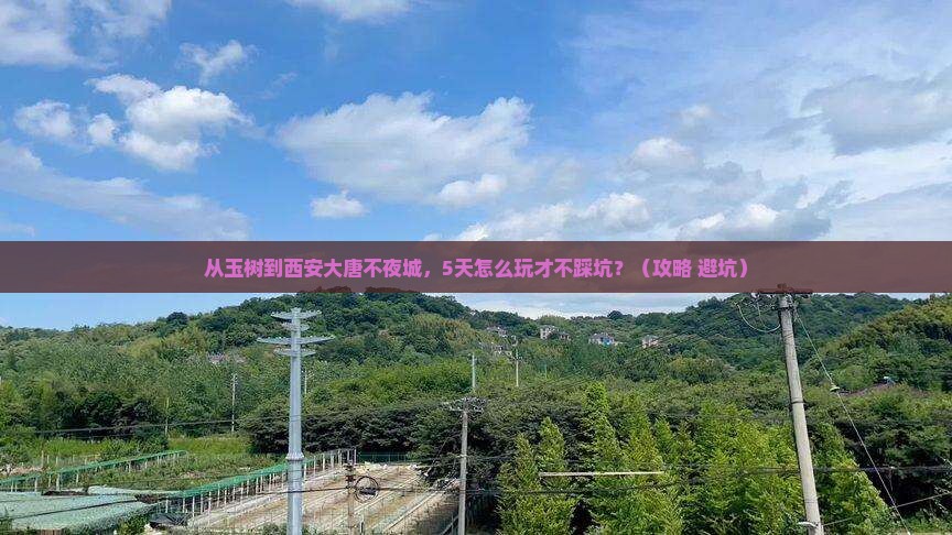 玉树去西安大唐不夜城景点