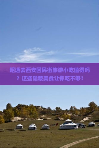昭通去西安回民街旅游小吃