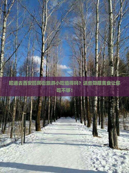 昭通去西安回民街旅游小吃