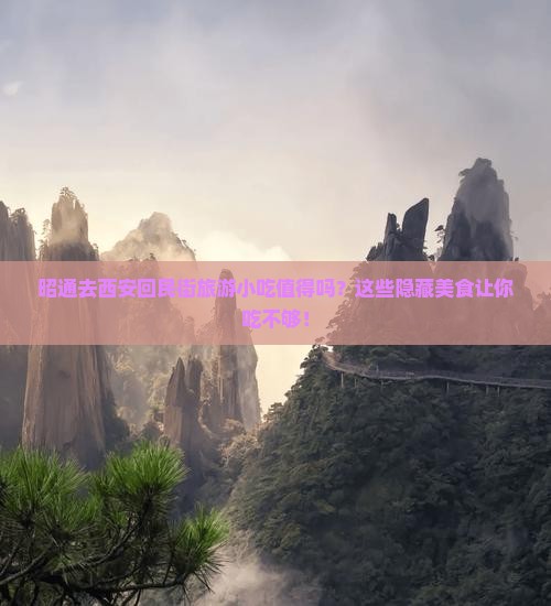 昭通去西安回民街旅游小吃