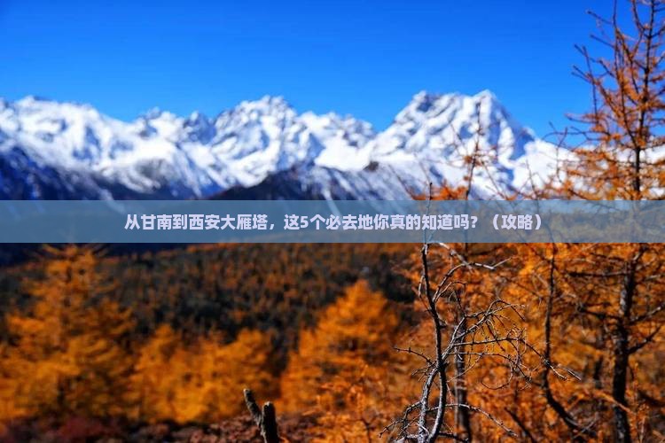 甘南去西安大雁塔必去地