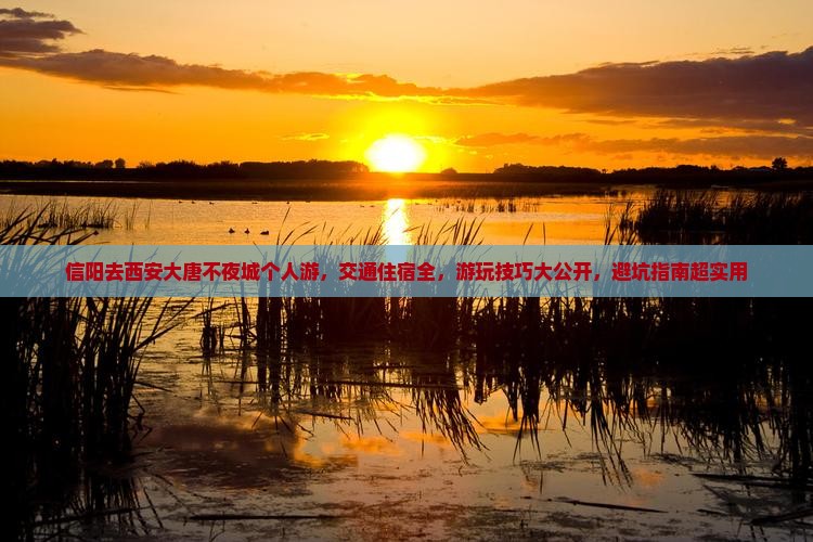 信阳去西安大唐不夜城个人游