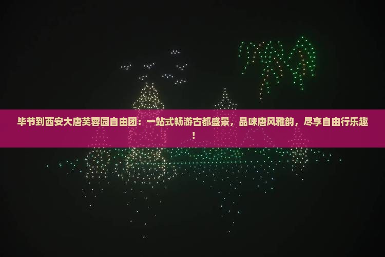 毕节到西安大唐芙蓉园自由团