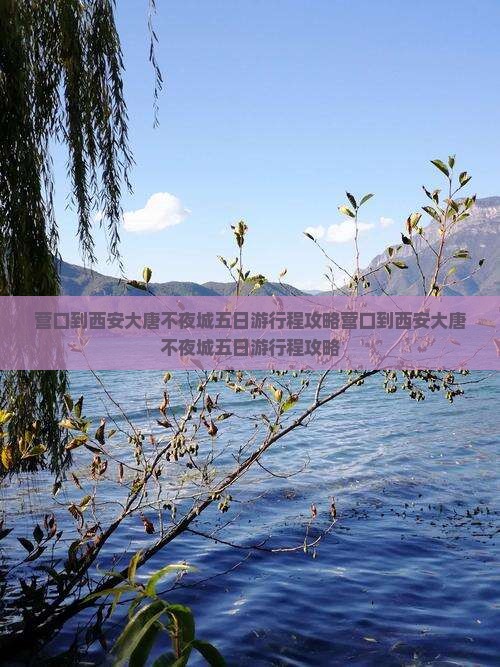 营口到西安大唐不夜城五日游