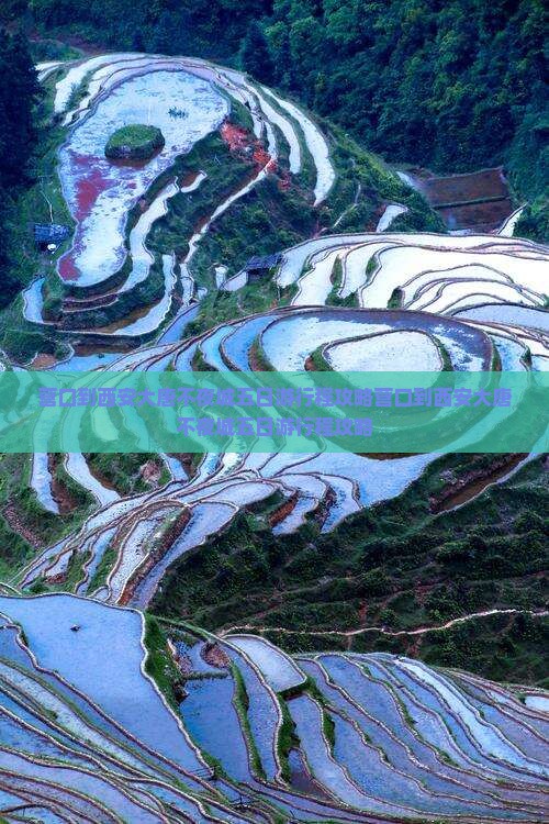 营口到西安大唐不夜城五日游