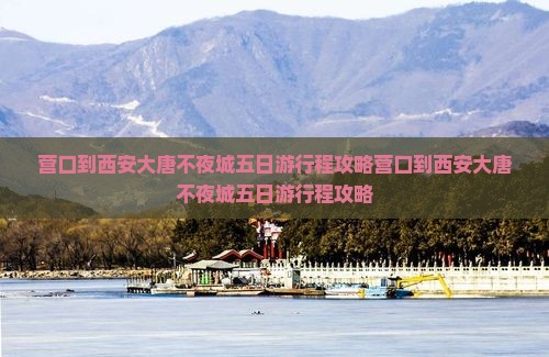 营口到西安大唐不夜城五日游