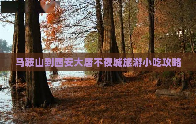 马鞍山到西安大唐不夜城旅游小吃