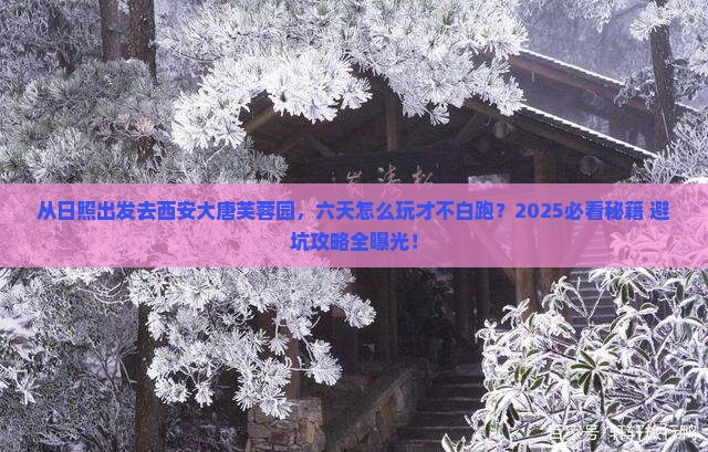 日照去西安大唐芙蓉园六日游