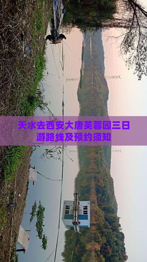 天水去西安大唐芙蓉园三日游 天水去西安大唐芙蓉园三日游