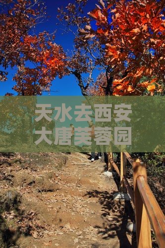 天水去西安大唐芙蓉园三日游 天水去西安大唐芙蓉园三日游
