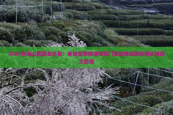 石嘴山到西安秦始皇帝陵博物院门票
