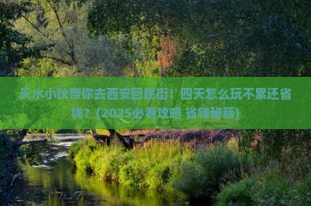 天水到西安回民街四日游