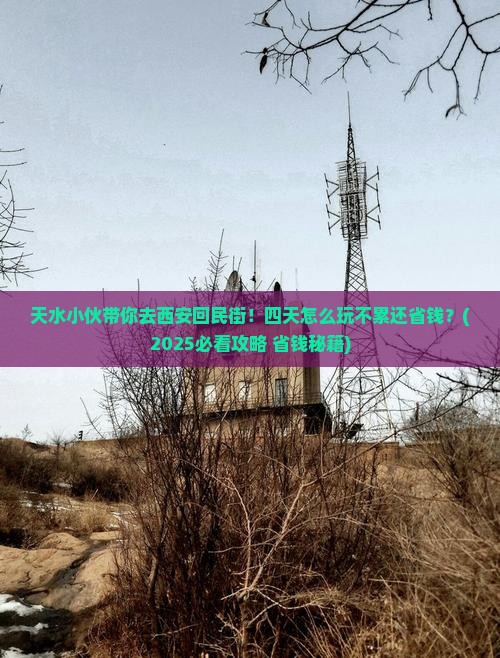 天水到西安回民街四日游