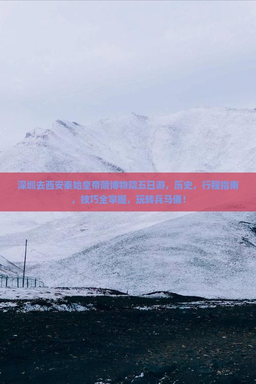 深圳去西安秦始皇帝陵博物院五日游