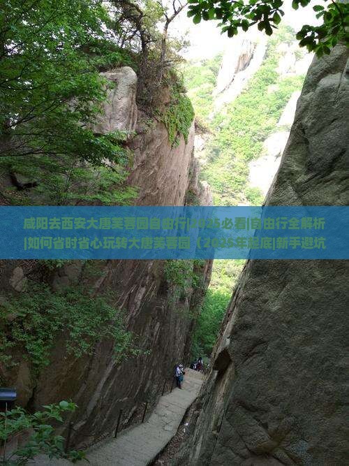 咸阳去西安大唐芙蓉园自由行