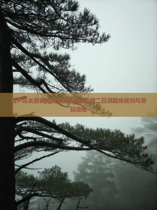 葫芦岛去西安大明宫国家遗址公园二日游