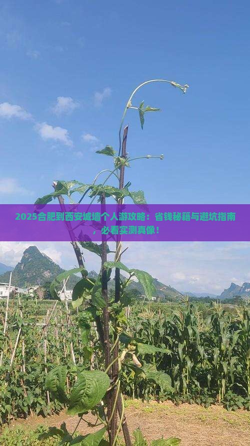 合肥到西安城墙个人游
