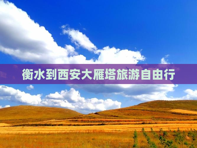 衡水去西安大雁塔自由团