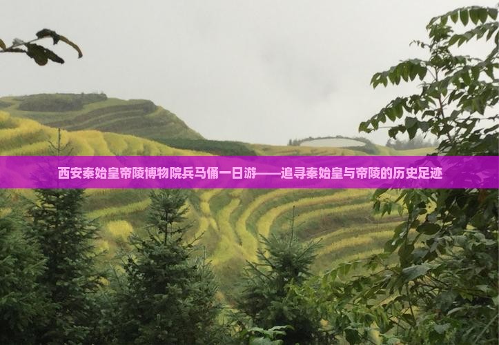 忻州到西安秦始皇帝陵博物院大型旅游团