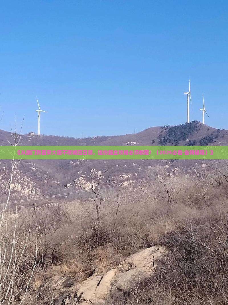 厦门去西安大唐不夜城四日游