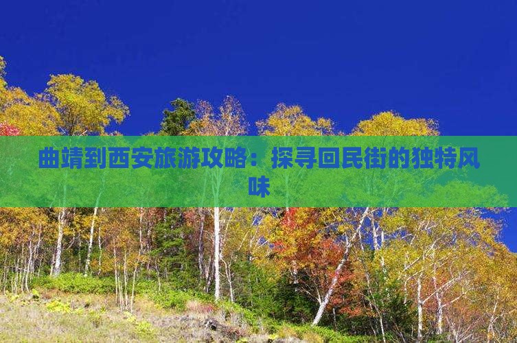 曲靖到西安回民街攻略