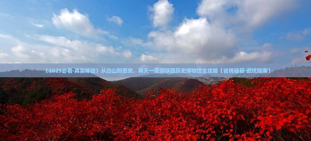 白山到西安陕西历史博物馆二日游
