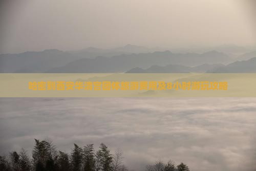哈密到西安华清宫团体旅游