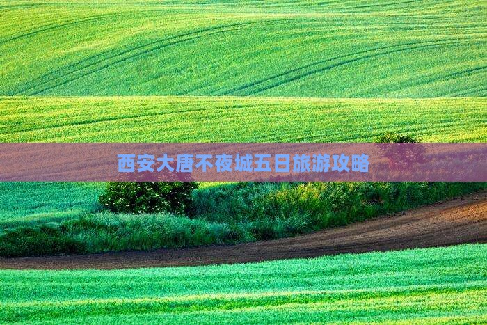 内江到西安大唐不夜城五日游