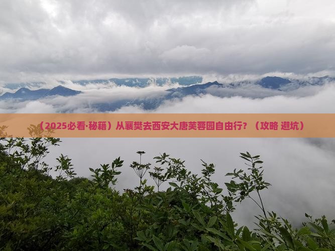 襄樊到西安大唐芙蓉园自由团