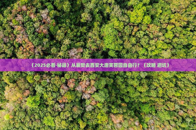 襄樊到西安大唐芙蓉园自由团