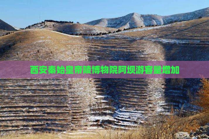阿坝去西安秦始皇帝陵博物院旅游