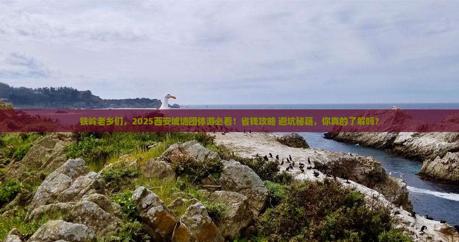 铁岭到西安城墙团体旅游